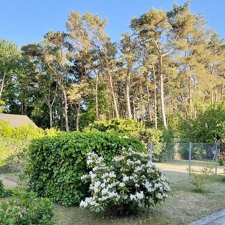 Bergstrasse 3 2 *